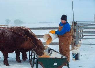 Balanced Mineral for Better Calving
