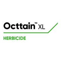 Octtain XL